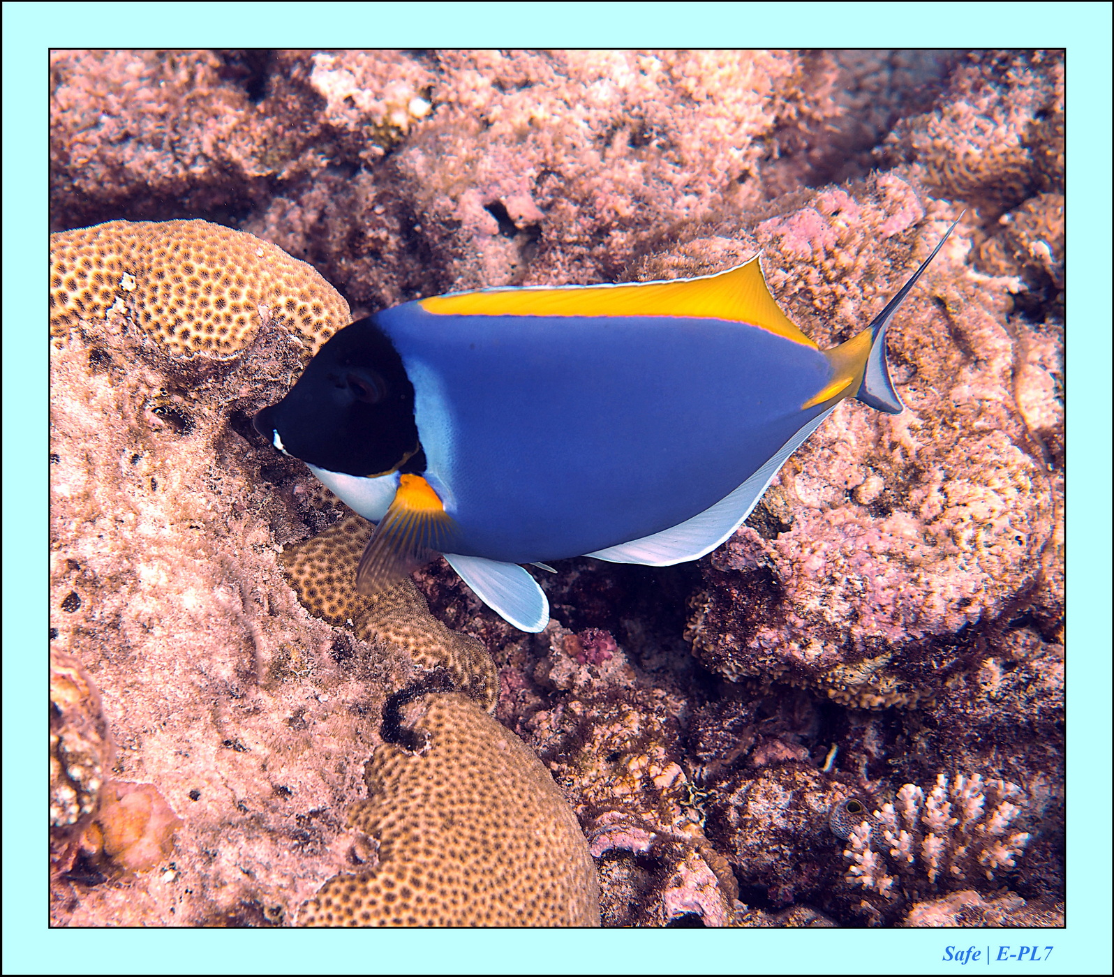 2023 - 07 - Sandies Bathala - 180